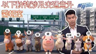 警聲 360．如遇上動物交通意外•停車報案勿等待 (Chinese Version only)